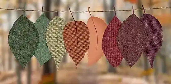 Tecidos Sustentáveis