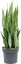 Plantas Artificiais