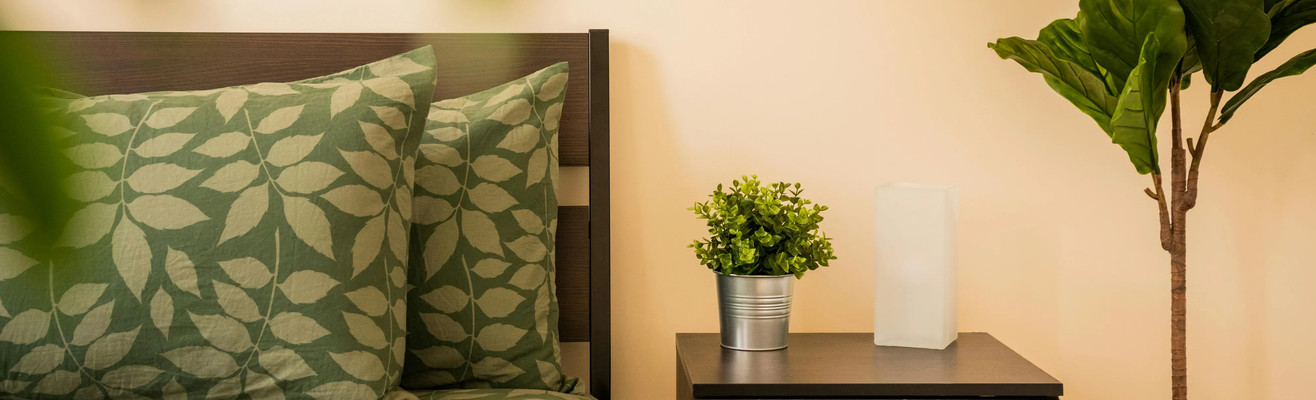 Ano novo, casa nova! Descubra promoções imperdíveis para casa e decoração!