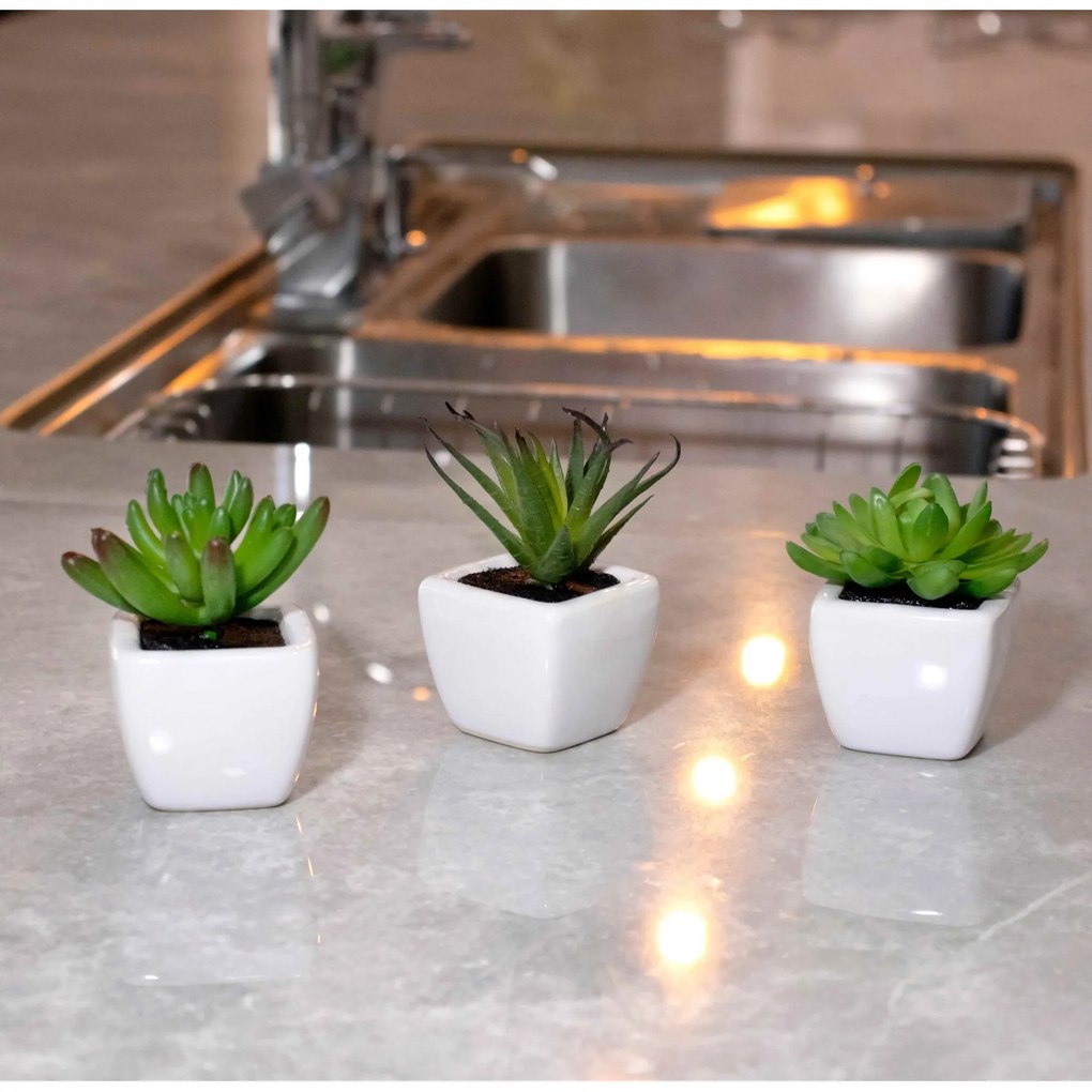 Kit 06 Suculentas Artificial Sortida Vaso Branco 8x4 cm - D'Rossi