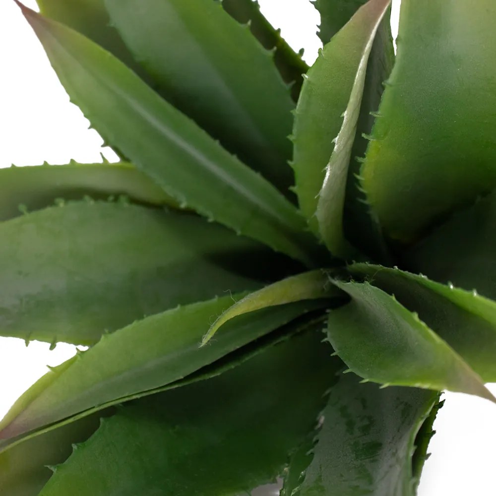 Folha Artificial Agave Com Raiz X21 para Arranjos Verde 25 Cm - D'Rossi