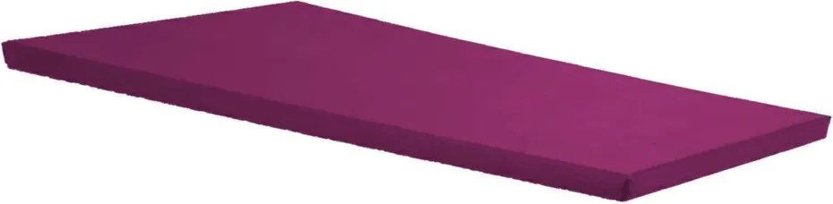 Colchonete Para Visita D20 180X60X4Cm Selo Inmetro Orthovida (Rosa)