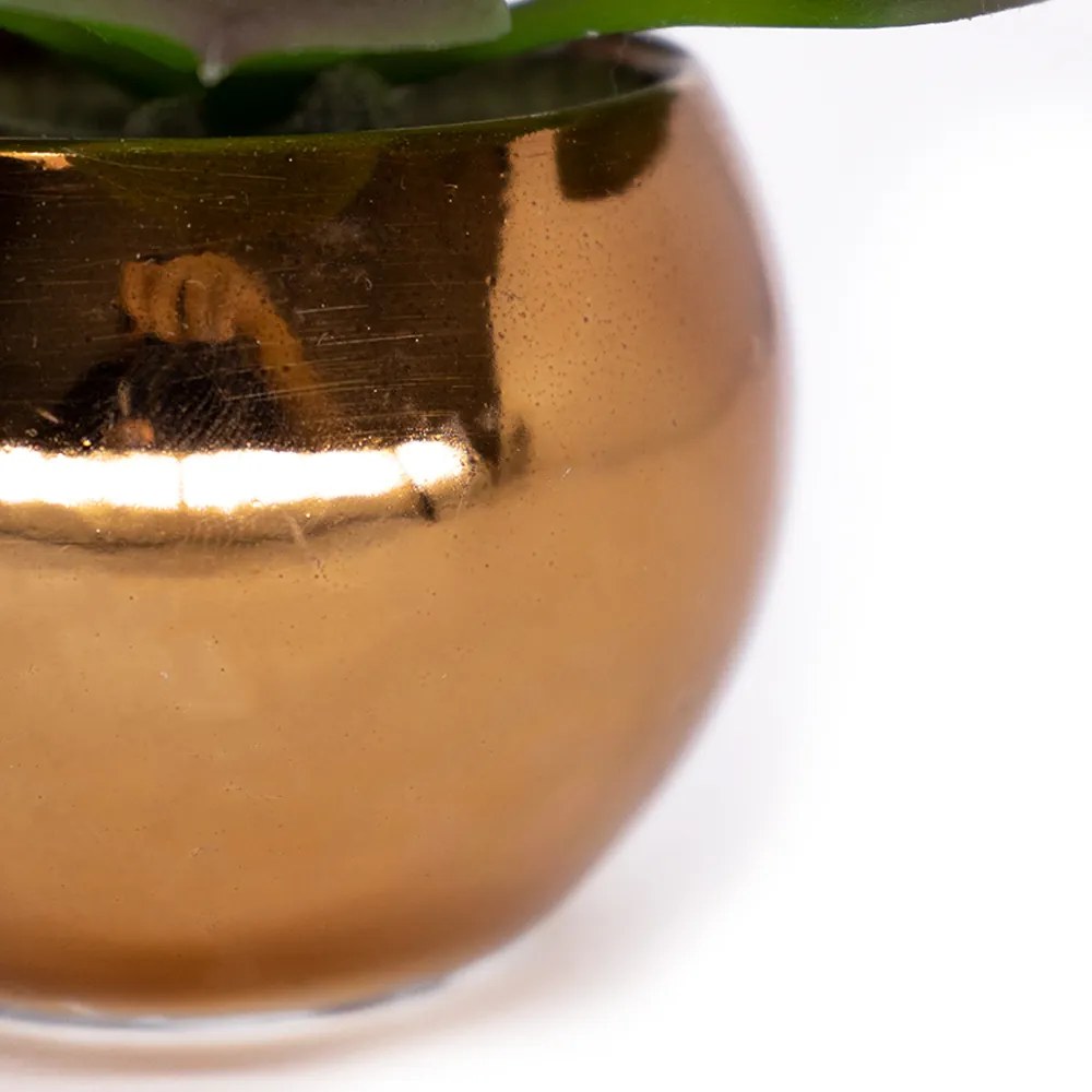 Vaso Decorativo Dourado Com Suculenta Artificial Sedum Hirsutum F04 - D'Rossi