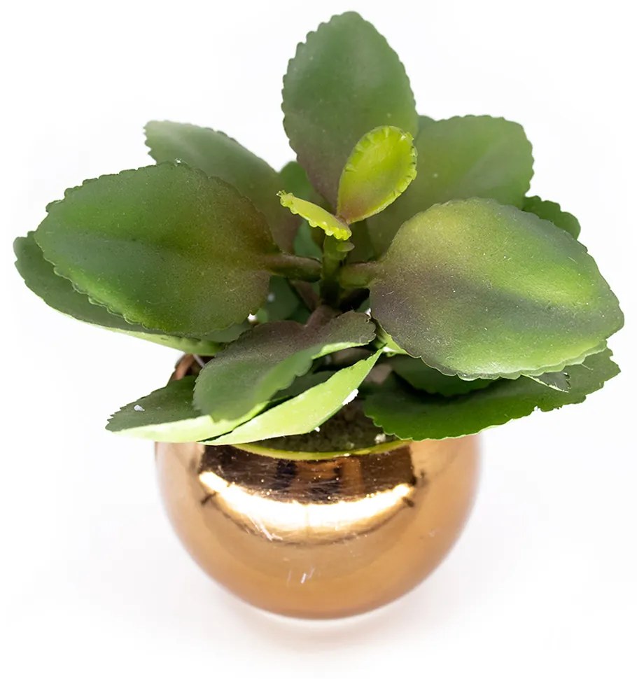 Vaso Decorativo Dourado com Suculenta Artificial Folha Baixa 15x8 cm F04 - D'Rossi