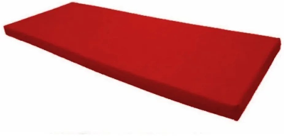 Colchonete Para Visita D33 180X70X8Cm Napa Inmetro Orthovida (Bordô)