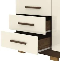 Cômoda Quarto Sapateira 2 Portas 4 Gavetas Lírio Imbuia/Champanhe V02