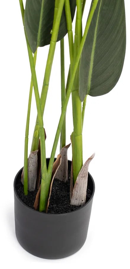 Planta Artificial Estrelícia Folhas Com Pote X12 Verde 130 Cm - D'Rossi
