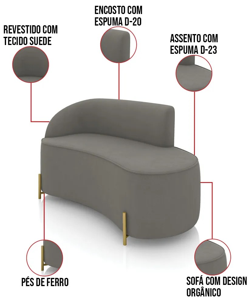 Sofá 2 Lugares Orgânico 140cm Pé Dourado Morgan Suede D03 - D'Rossi - Grafite