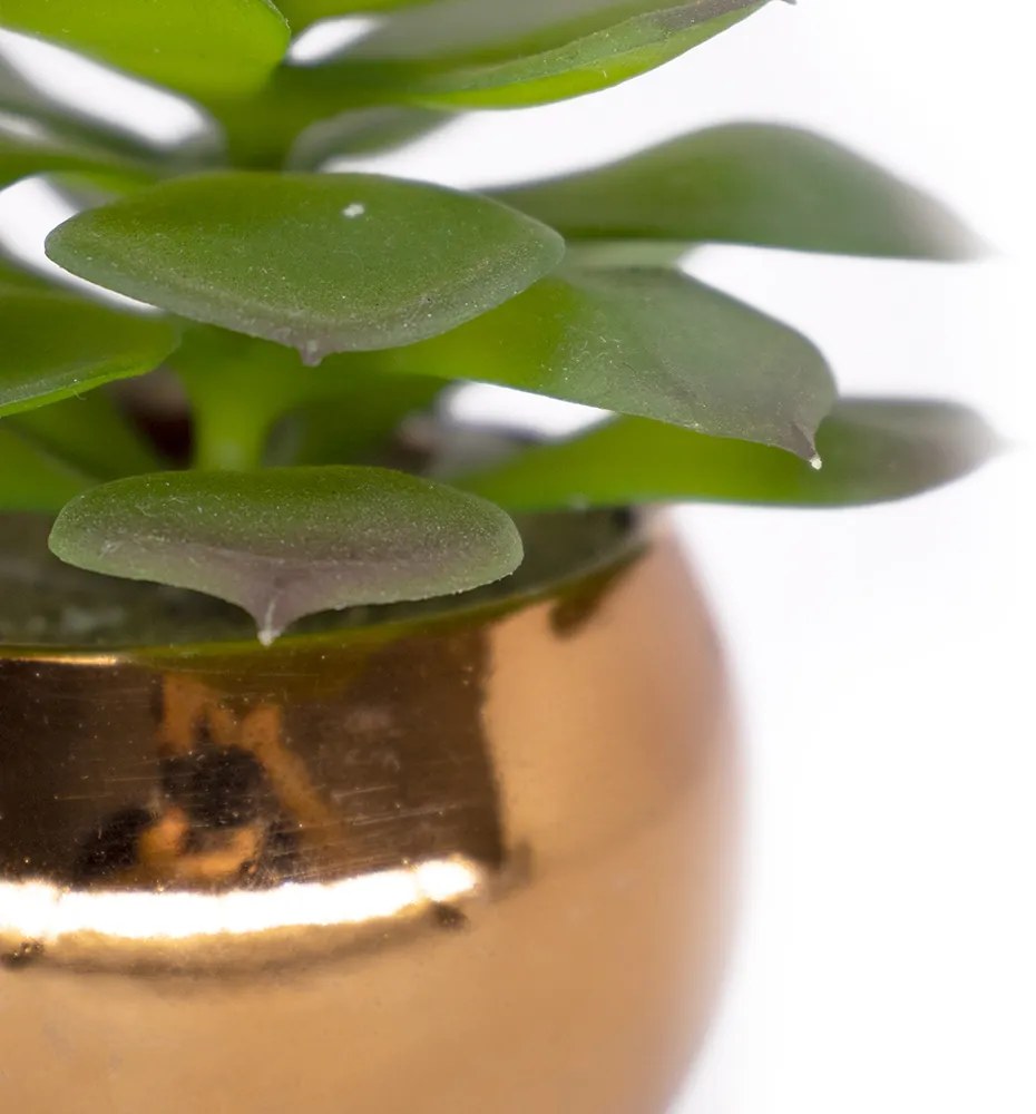 Vaso Decorativo Dourado Com Suculenta Artificial Sedum Hirsutum - D'Rossi