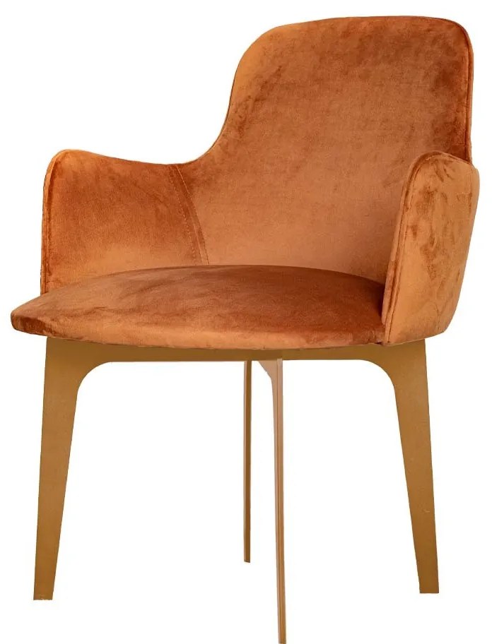 Poltrona Amazonas - Dourado Soleil - Tecido Veludo Terracota  Kleiner
