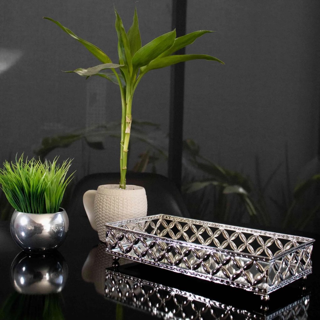 Bandeja Decorativa Retangular Em Metal Prata Com Espelho 5x24 Cm - D'Rossi