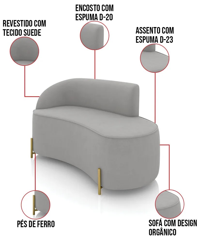 Sofá 2 Lugares Orgânico 140cm Pé Dourado Morgan Suede D03 - D'Rossi - Cinza