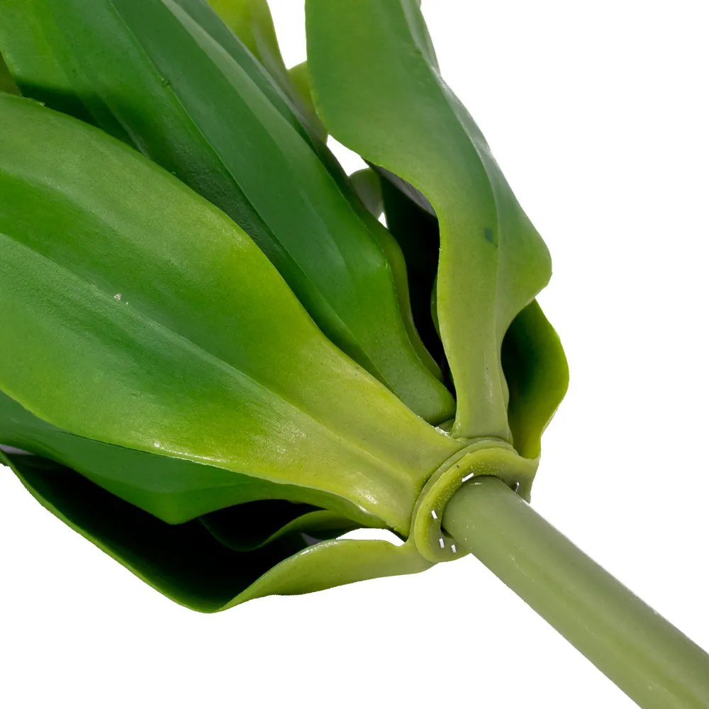 Folha Artificial Agave com Raiz X24 para Arranjos Verde 60 cm F04 - D'Rossi