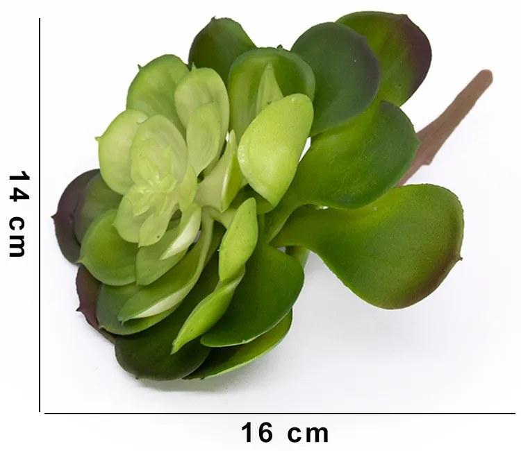 Suculenta Planta Artificial Verde 14x16 cm - D'Rossi