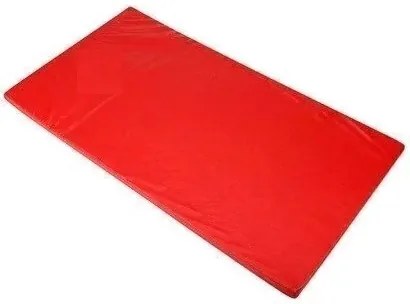 Colchonete Para Gin�Stica, Academia E Yoga - 100 X 50 X 3 (Vinho)