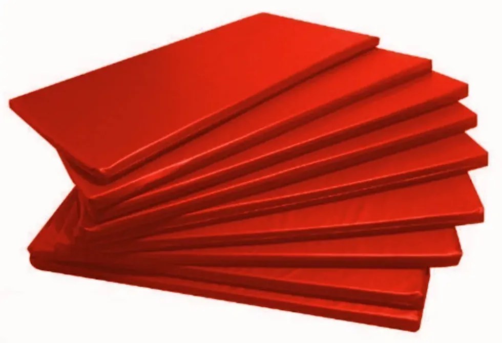 Kit 10 Colchonetes Orthovida 90X42X2Cm | Para Ginástica, Academia E Yo... (Vermelho)