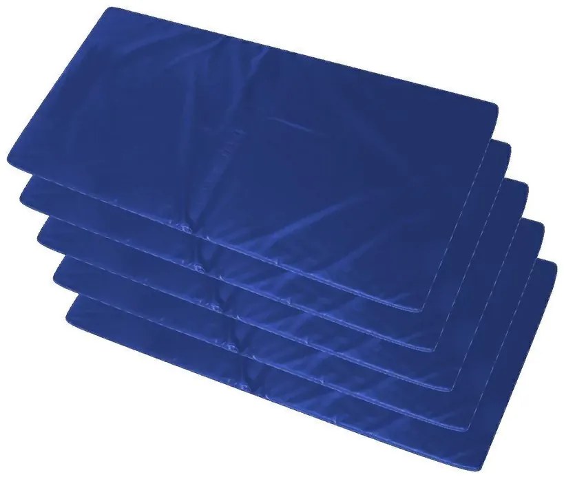 Kit 5 Colchonetes Academia - 100 X 60 X 3 - D33 - Orthovida (Vermelho)