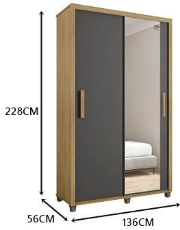 Guarda Roupa Suécia Com Espelho Cinamomo/Grafite - RV Móveis