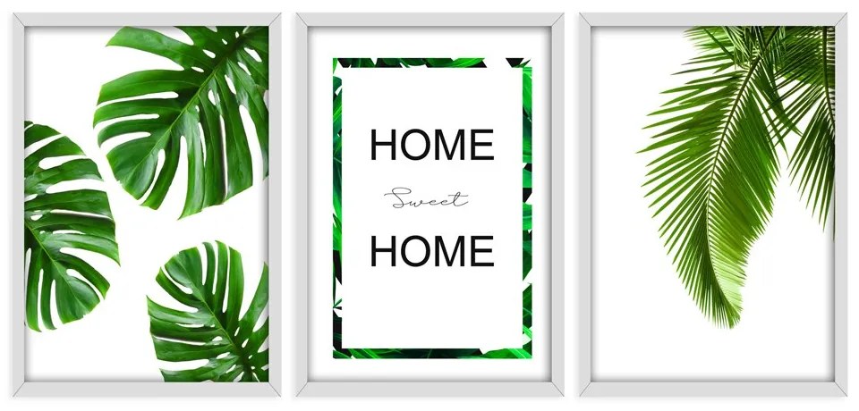 Kit 03 Quadros Decorativos Folhagem Home Sweet Home 43x33 cm - D'Rossi