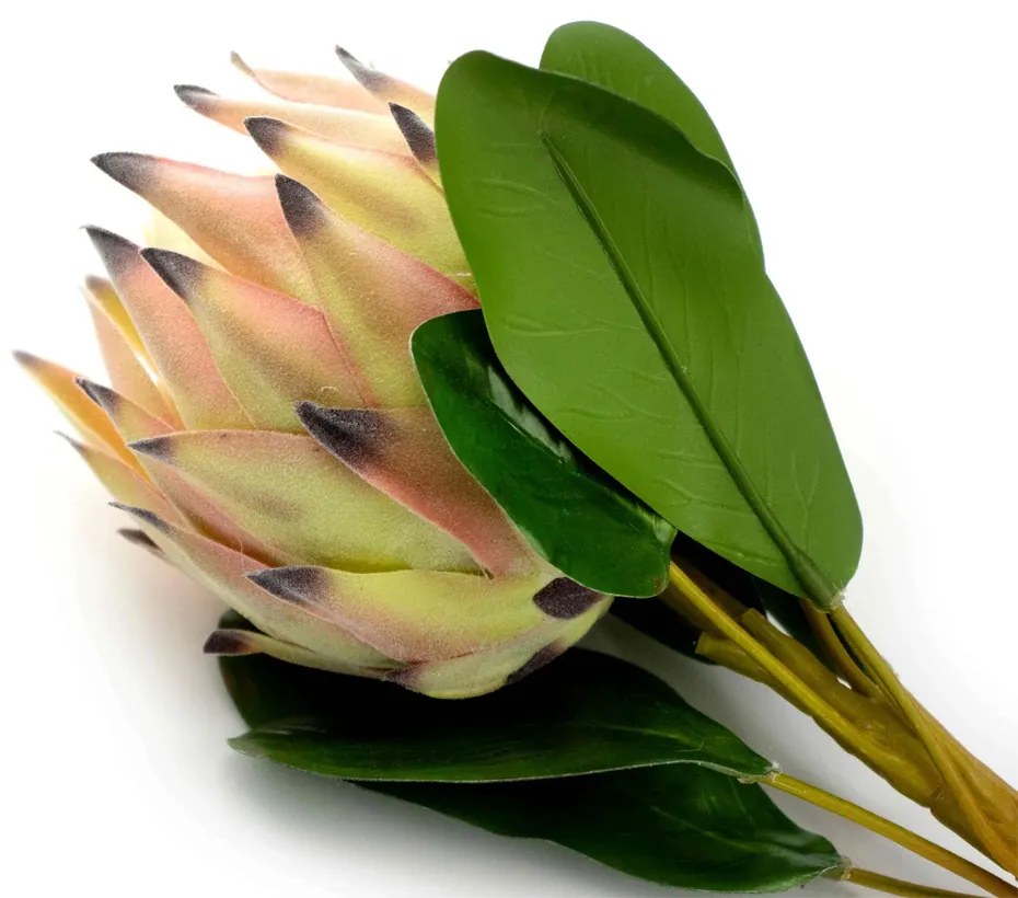 Haste de Flor Artificial Protea Frosted com Coat Salmão 70 cm F04 - D'Rossi