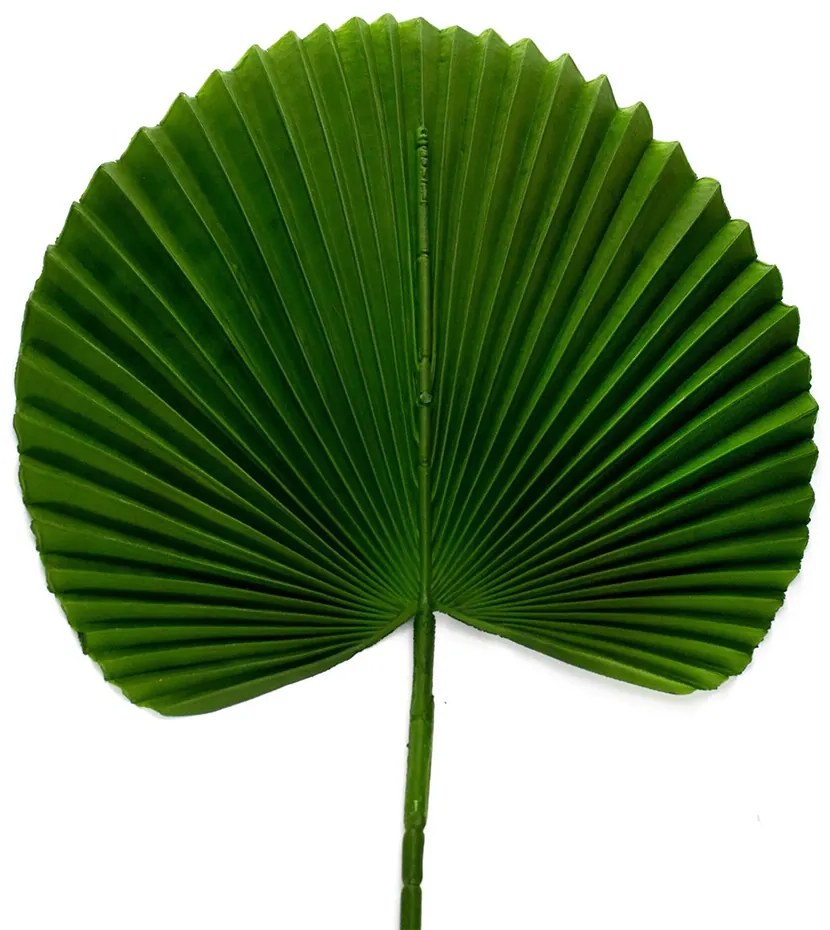Folha Artificial Latânia Leque Realista Verde Escuro 83 Cm - D'Rossi