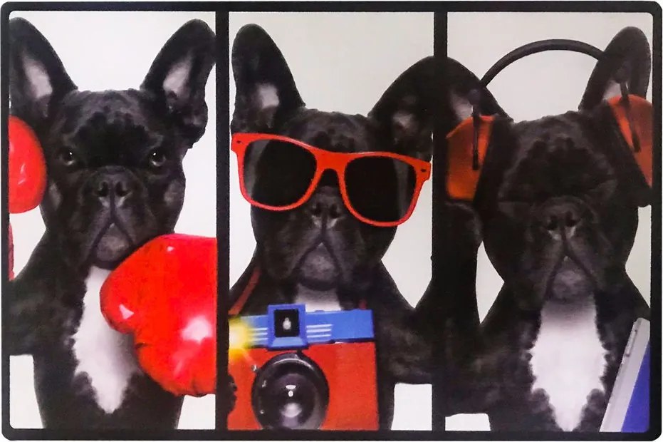 Kit 04 Placas de Mdf Decorativas Dog 19,5x29,5cm - D'Rossi
