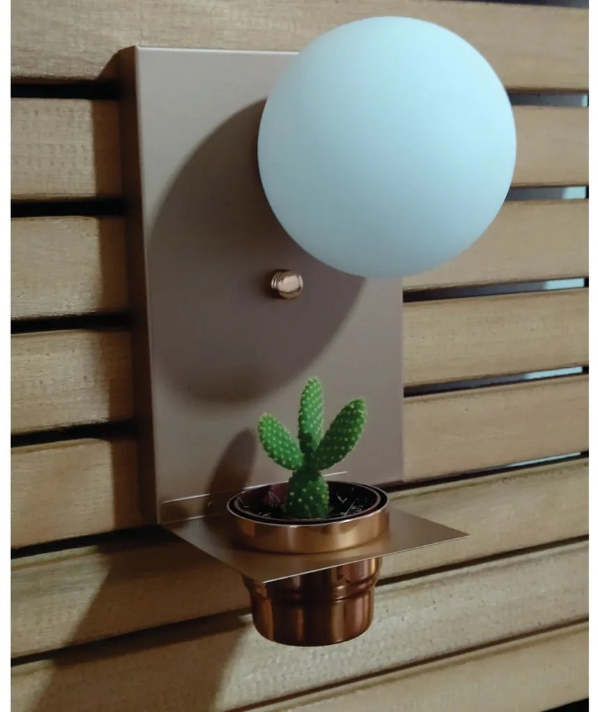 Arandela Nature Vertical Com Porta Mini Vaso 12X25Cm Globo Ø10Cm 01Xg9... (ROSE FOSCO)