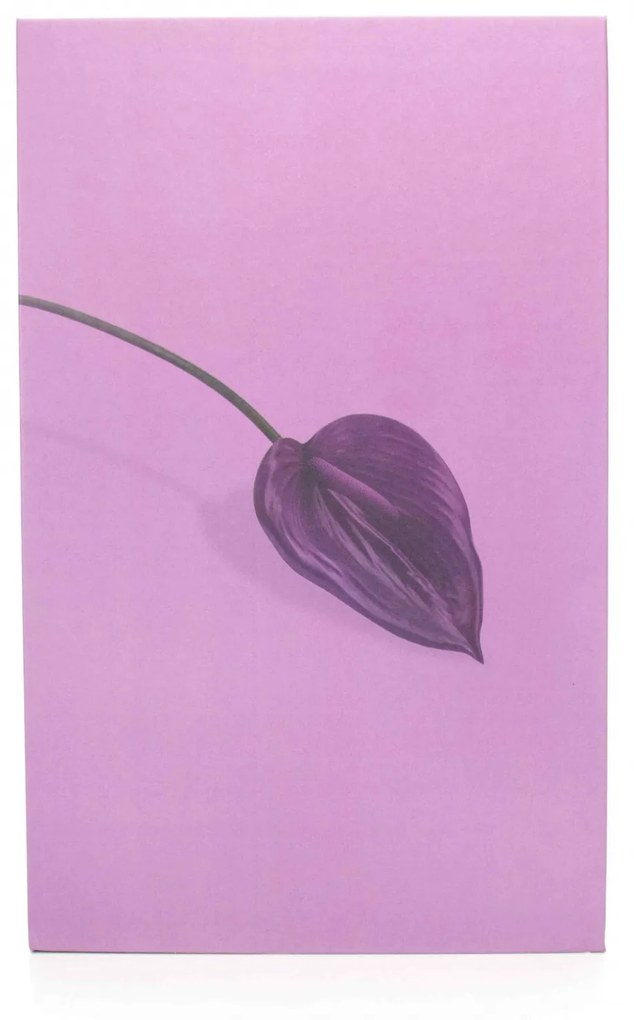 Livro Decorativo de Papel para Ornamentação Lavanda 27x17x5cm F04 - D'Rossi