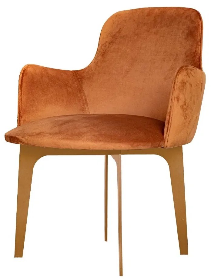 Poltrona Amazonas - Dourado Soleil - Tecido Veludo Terracota  Kleiner