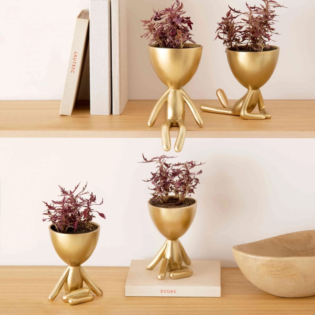 Vaso Decorativo Bob Robert Plant em Poliresina Dourado 14,5x11x10 cm - D'Rossi