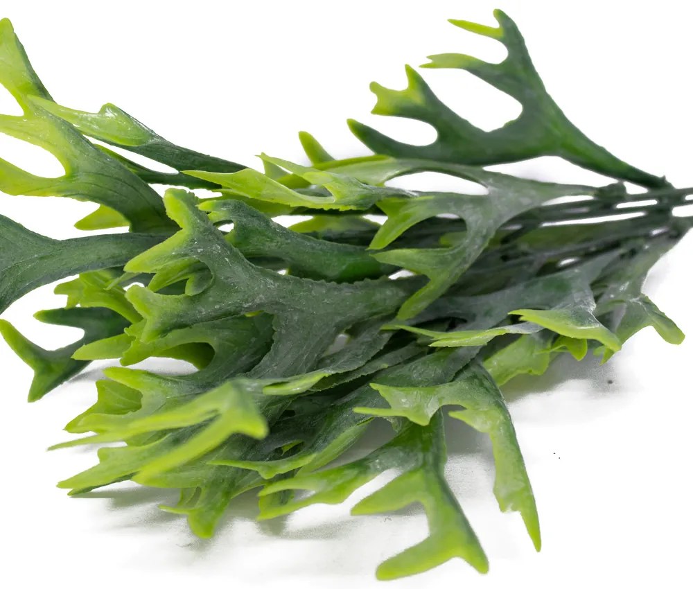 Folha Artificial Chifre De Veado com Powder para Sala Verde 35 cm F04 - D'Rossi