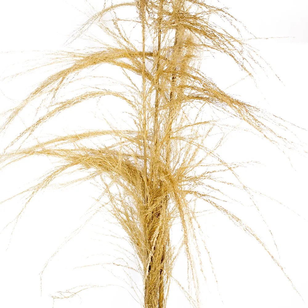 Capim Artificial em Plumas Pendão 179 cm - D'Rossi