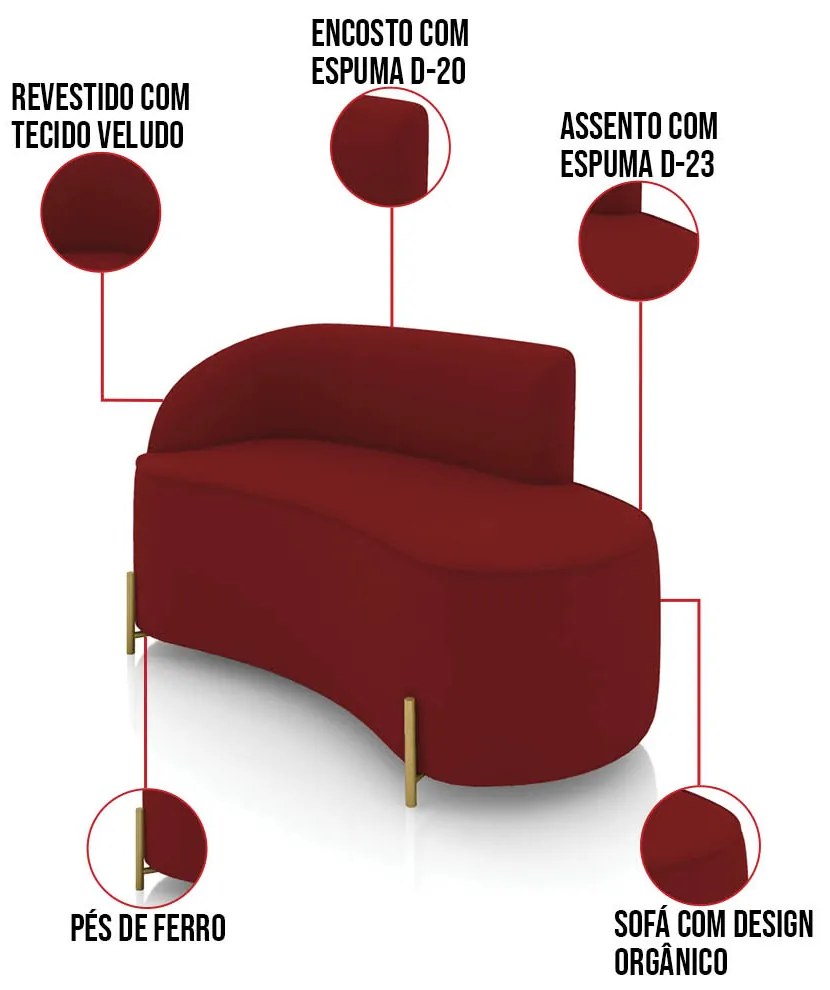 Sofá 2 Lugares Orgânico 140cm Pé Dourado Morgan Veludo D03 - D'Rossi - Marsala