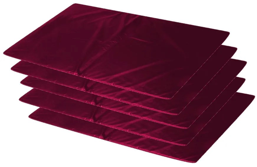 Kit 5 Colchonetes Ginástica, Academia - 100X50X3 Orthovida (Vermelho)
