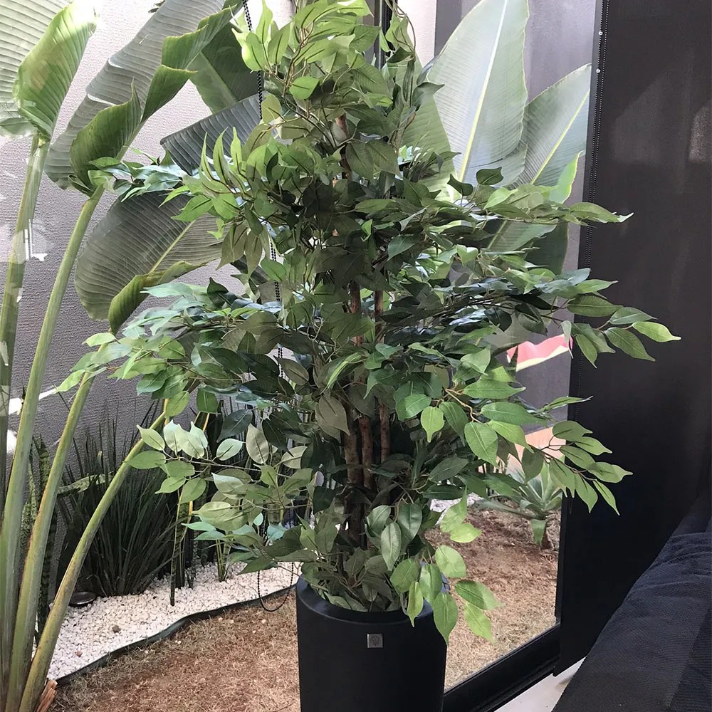 Planta Artificial Ficus Tronco Real Toque X1008 Verde 210 cm F04 - D'Rossi