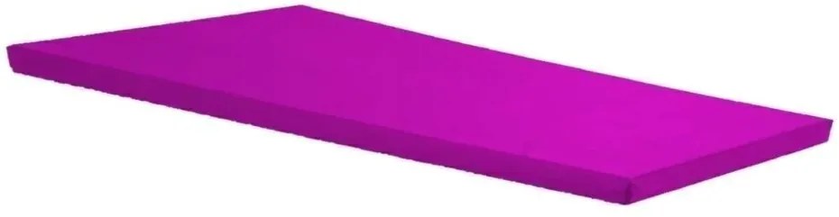 Colchonete Auxiliar Para Visita D20 180X60X4Cm Com Selo Do Inmetro Ort... (Roxo)