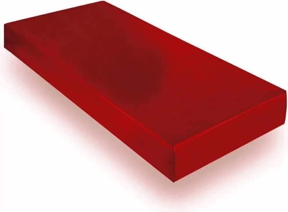 Colchão Hospitalar Em Napa D20 Orthovida Frete Grátis (Vermelho)