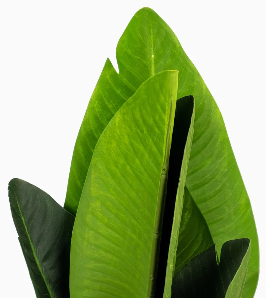 Planta Artificial Bananeira de Jardim com Pote X6 Verde 66 cm F04 - D'Rossi