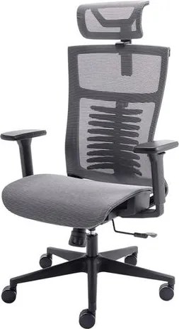 Cadeira Ergonomica Elements Vertta Special Cinza e Preta - 78712 Sun House