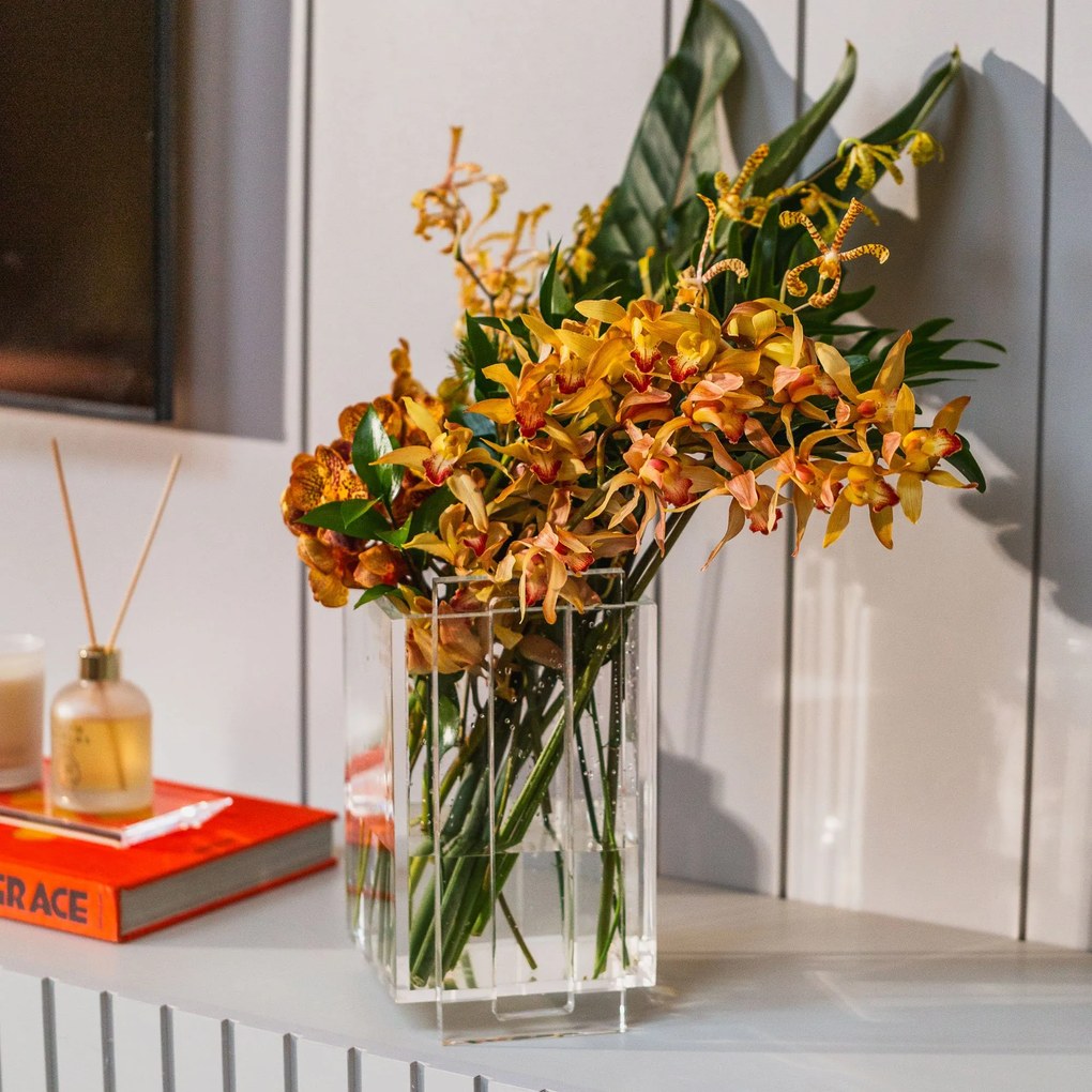 Vaso Claire - MDO2 MDO2