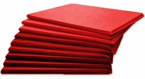 Colchonete 100 X 60 X 5 Com Espuma D20 Orthovida (Vermelho)