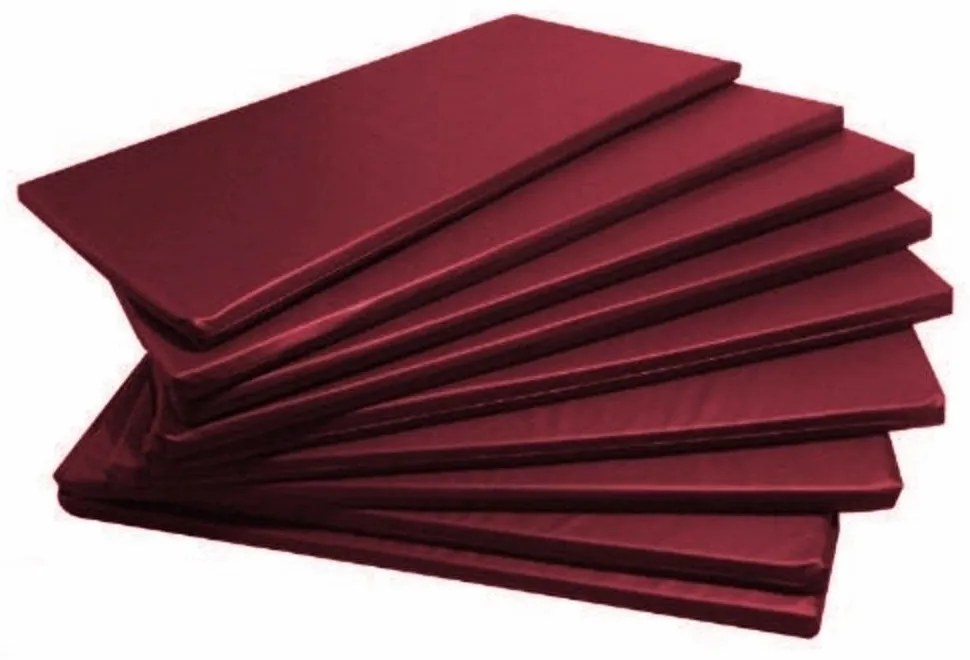 Kit 10 Colchonetes Academia, Espuma D33 Impermeável 90 X 42 X 2 Cm Ort... (Vermelho)