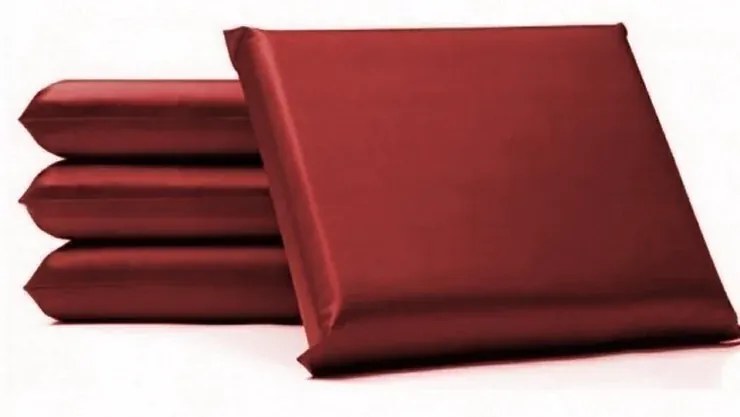 Travesseiro Hospitalar Impermeável D12 40X60X10 Orthovida (Vermelho, Liso)