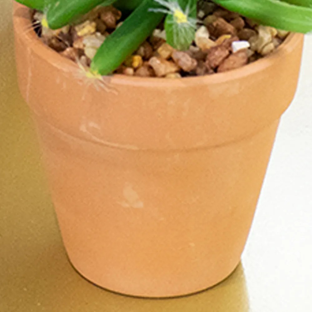 Vaso Com Cacto Barba de Velho Verde Com Flor Rosa 14x6 Cm - D'Rossi