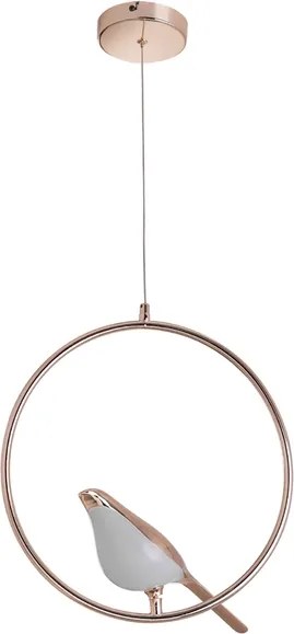 Pendente Led Ferro Acrilico Dourado 6W 3000K Bird
