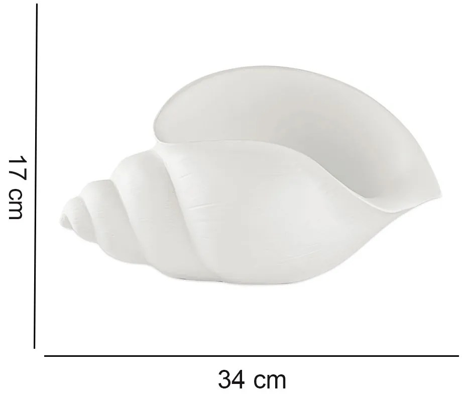 Enfeite Decorativo "Concha" Em Poliresina Off White 17x34 Cm - D'Rossi