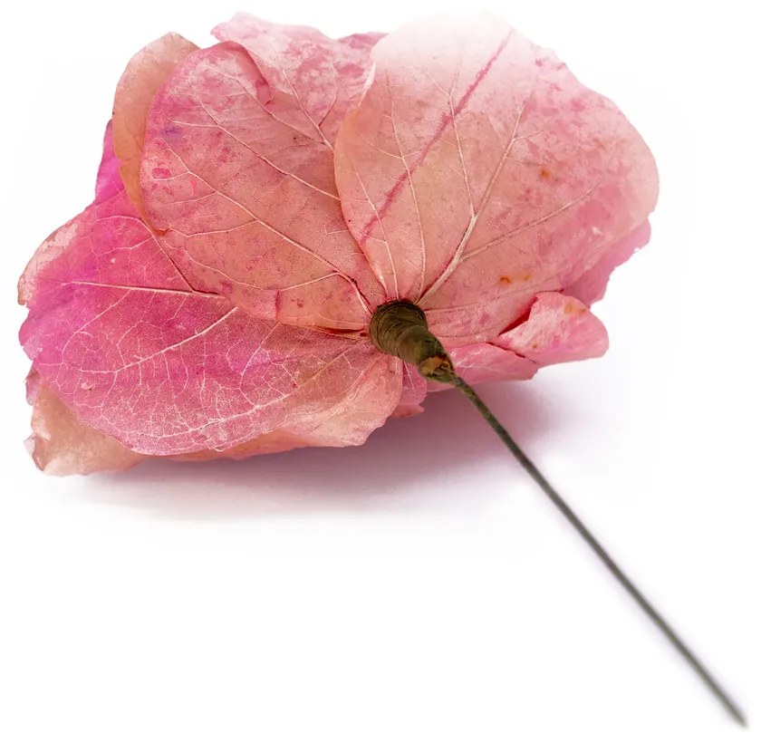 Rosa Artificial Cerejinha Desidratada com Haste Arame Real Toque 54 cm F04 - D'Rossi