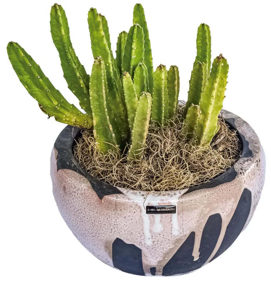 Vaso Decorativo de Cerâmica 17x11x24 - Raku Alto Brilho  Kleiner