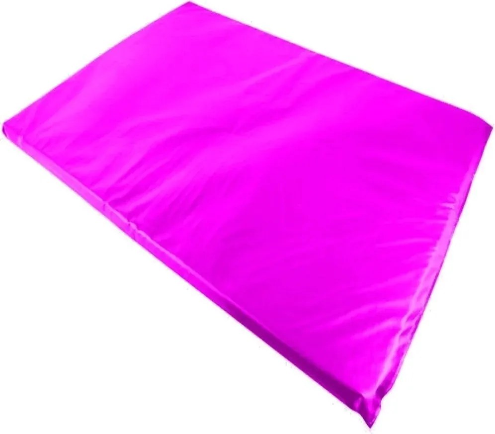 Colchonete Casal Para Visita 180X100X4Cm D33 Napa Orthovida (Bordô)