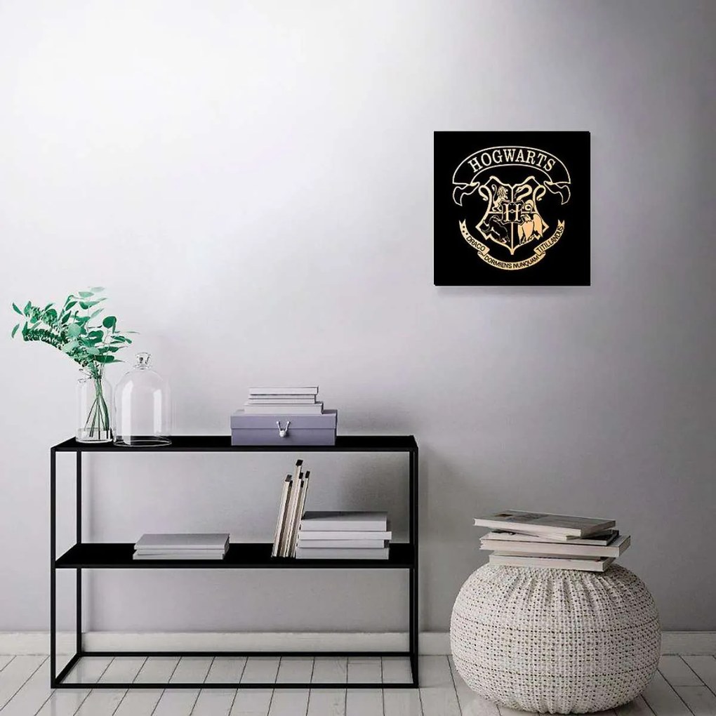 Quadro Decorativo Harry Potter Hogwarts MDF
